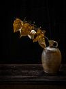 Golden leaves van Miriam Meijer, en pleine campagne..... thumbnail