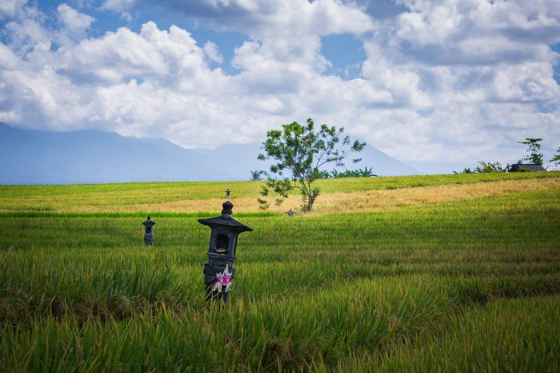 Rice fields temples in Bali by Rudolfo Dalamicio