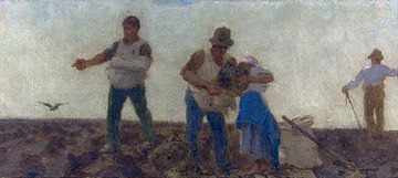 Geschiedenis van tarwe, Paul-Albert Baudouin, 1879 van Atelier Liesjes