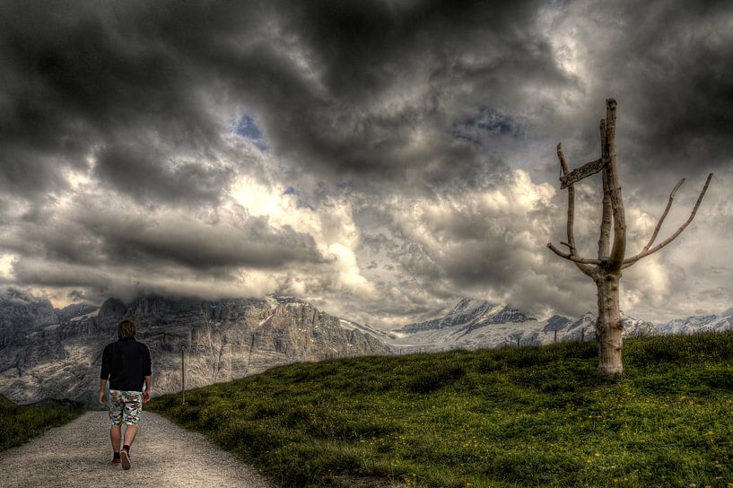 Don't go past the tree by Dennis van de Water