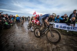 Paris - Roubaix, Mathieu van der Poel by Leon van Bon