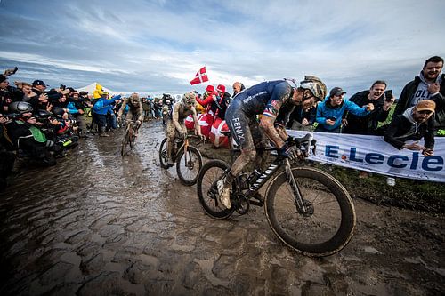 Paris - Roubaix, Mathieu van der Poel by Leon van Bon