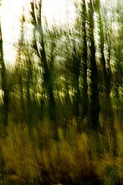 Bomen_01 von Herman de Langen