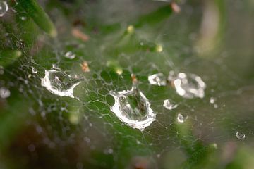 Splash! van Jan van der Knaap