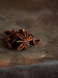 Tanning star anise by Tatiana Tor Photography