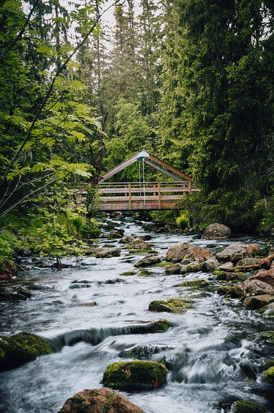 Bridge to the wilderness by Job Vermeulen