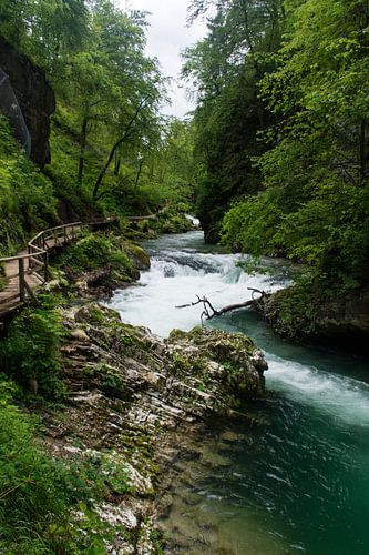 Tolmin kloof in Slovenië
