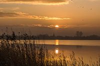 Een prachtige zonsopgang op het Friese platteland