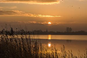 Ein schöner Sonnenaufgang in der friesischen Landschaft
