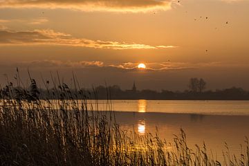 Een prachtige zonsopgang op het Friese platteland van Goffe Jensma
