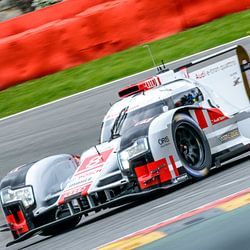 Le Mans