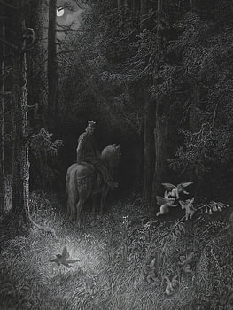 Rehe im nächtlichen Wald