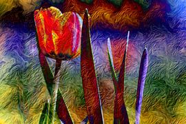 ABSTRAKT : FLORA von Photoart-Naegele