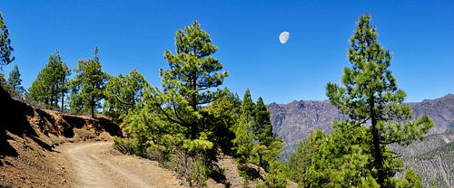 Inside the Taburiente volcano on La Palma
