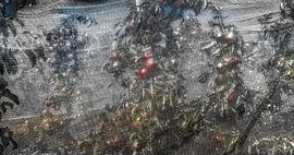 Apple trees caught in net in the betuwe by Peter Venema