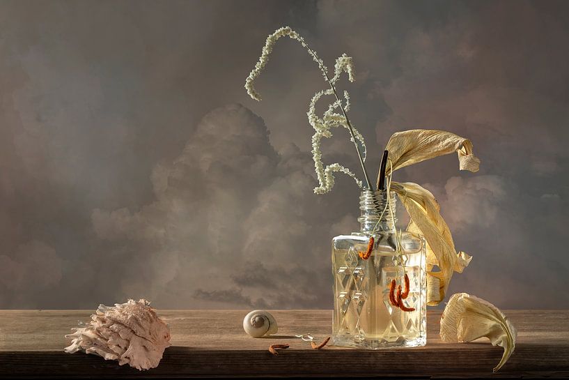 Still life 'Between heaven and earth XIII' by Willy Sengers