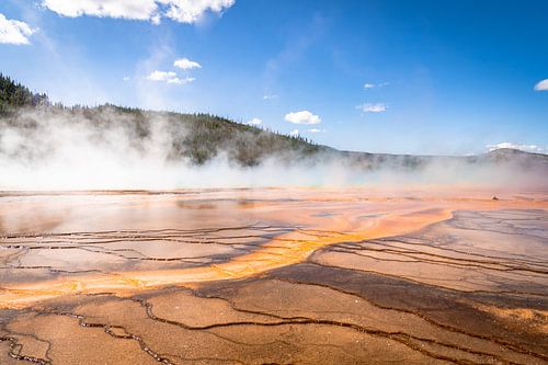 La nature dans le parc national de Yellowstone