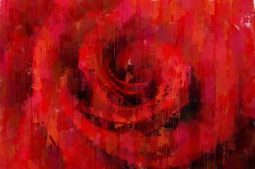 Rose rouge sur Theodor Decker