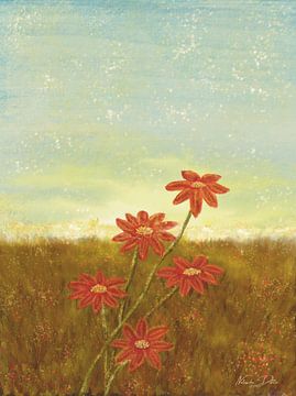 Lueur mystique du soir