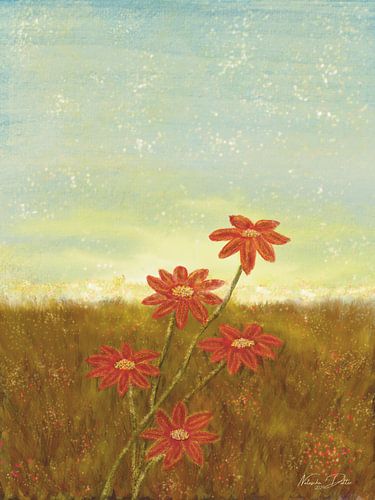 Mystical Evening Glow