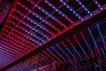Glow 2019 - Festival des lumières - Eindhoven sur Fotografie Ploeg