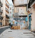 Straßenkunst Valencia von Iris van Tricht Miniaturansicht