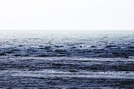 De Noordzee van Martie Spork thumbnail