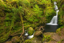 Tomies Wood - O'Sullivans Cascade (Ireland) by Marcel Kerdijk