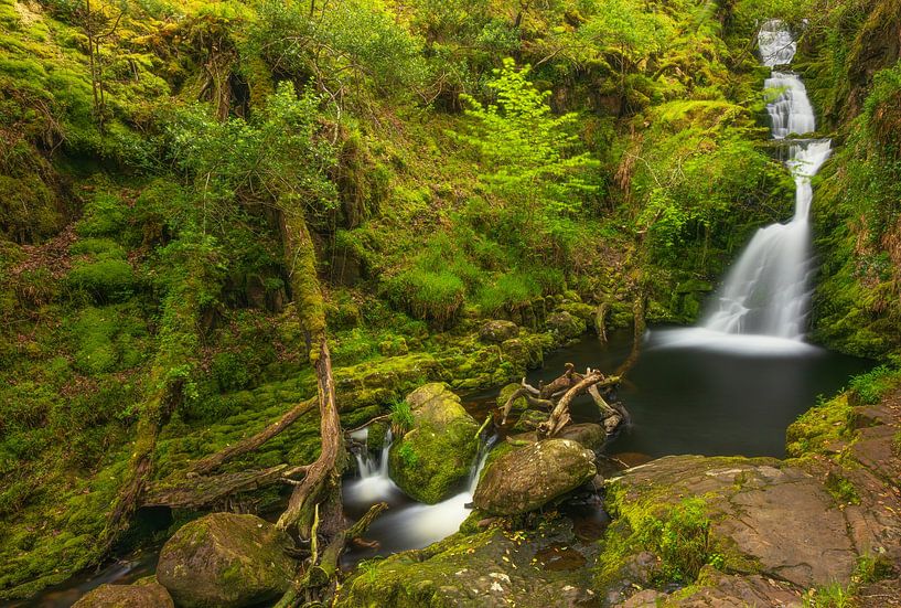 Tomies Wood - O&#039;Sullivans Cascade (Ireland) by Marcel Kerdijk