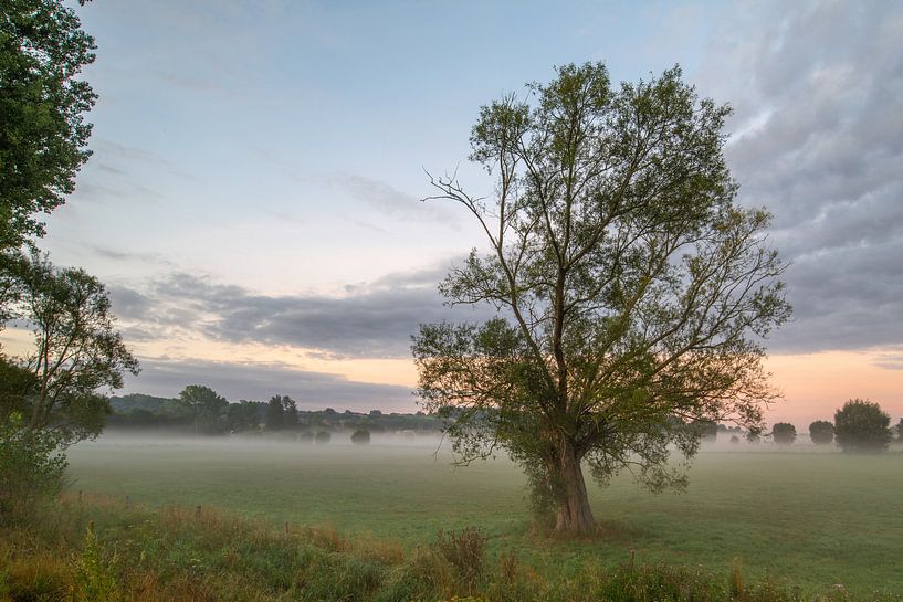 Foggy sunrise in Geraardsbergen by Sven Scraeyen