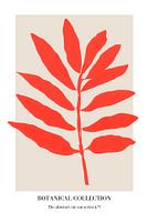 Botanical collection 1