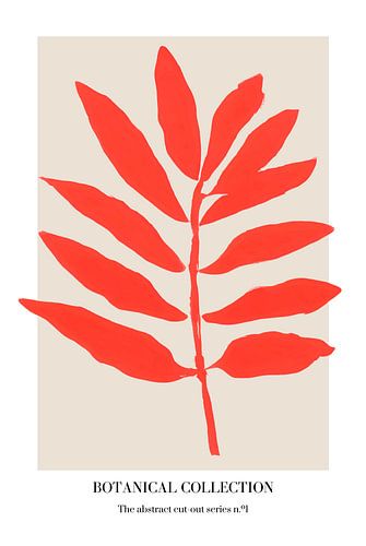 Botanische Sammlung 1