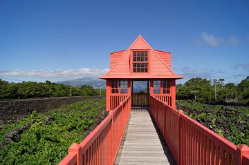  red watchtower by Andrea Ooms