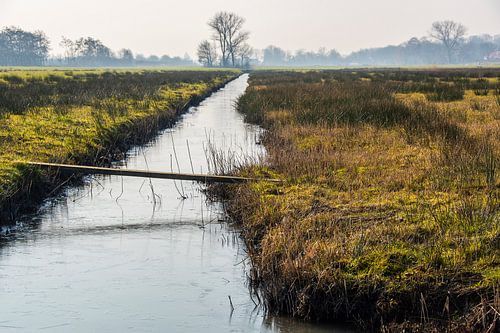Landschap Haar Zuijlens Utrecht