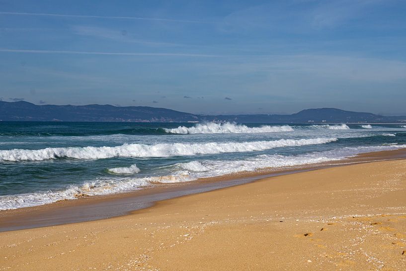 Comporta by Lisette van Leeuwen