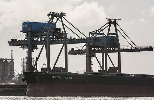 Bulkcarrier afgemeerd in de haven Rotterdam.