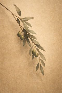 Japandi Olive Branch Minimalism by RezArt