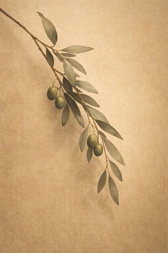 Japandi-Olivenzweig-Minimalismus von RezArt