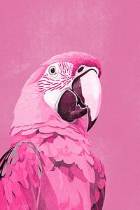 Arapapagei in Rosa