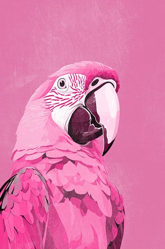 Macaw Parrot in Pink