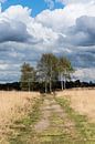 Landschap landgoed Heidestein Driebergen-Rijsenburg von Wil Vlasveld Miniaturansicht