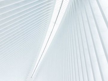 Oculus Station New York City van Marcel Kerdijk