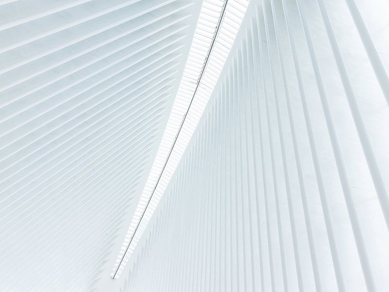 Oculus Station New York City van Marcel Kerdijk