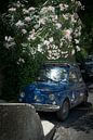 Fiat 500 bedolven door Oleander van Karel Ham thumbnail