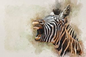 zebra by Bert Quaedvlieg