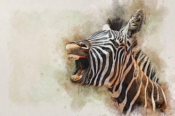 Zebra von Bert Quaedvlieg