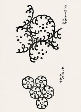Japanese art. Vintage ukiyo-e woodblock print by Tagauchi Tomoki no. 11 by Dina Dankers