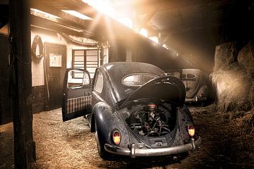 VW Kever Ovali van Ramon Enzo Wink