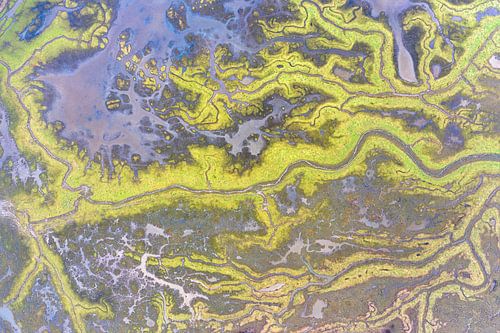 Het verdronken land van Saeftinghe