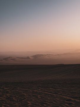 Desert Evening by Larissa Geuke